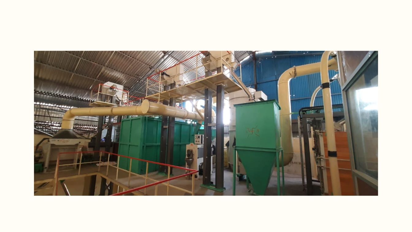 Modern Paddy Processing Line
